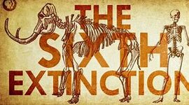 Timeline: EXTINCIONES MASIVAS