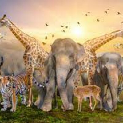 Timeline: CAUSAS DE LA EXTINCIÓN DE LAS ESPECIES