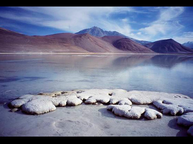 Vida en el eón arcaico