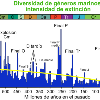 Timeline: Las Extinciones Masivas