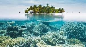 Se reconoce que aunque se detuvieran por completo las emisiones de gases invernadero el CC continuará por siglos.