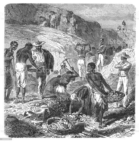 Estado: Implementación del registro minero en su actividad del país