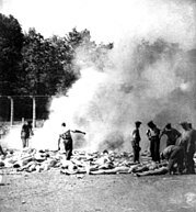 Aushwitz burning pit