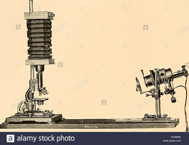 Modelo biomedico origino y OMS define nuevamente el concepto de salud