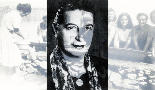 GR- the “Special School for Dysfunctional and Retarded Children”