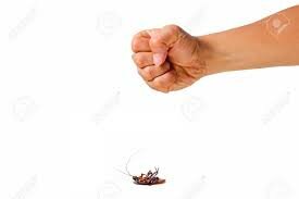 linea de la contaminación