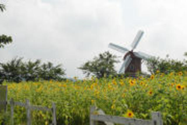 Travel to Jeje Island