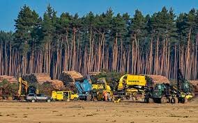 linea de la contaminación