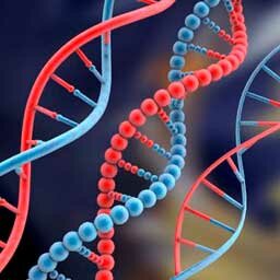 ESTRUCTURA DOBLE HELICE DEL ADN
