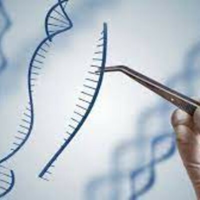 Timeline: Ingenetica