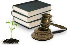 Ley Federal de Responsabilidad Ambiental