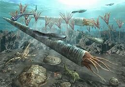 1. Ordovícico-Silúrico