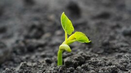 Timeline: Fabian Villarreal Madrigal