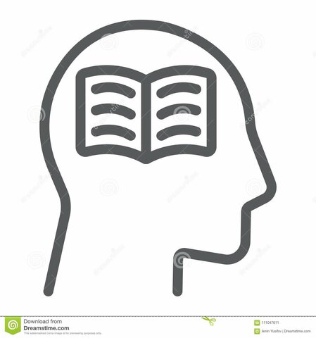 Programa de contaduría pública, Bacteriología, arquitectura y fisioterapia