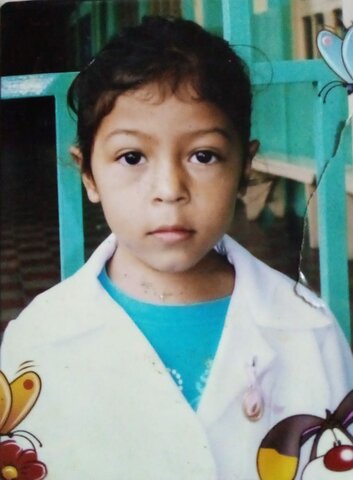 Activity of professions and trades.