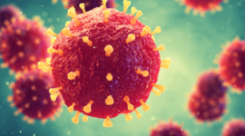 Timeline: Malalties - TimeLine