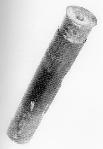 Zacharius Janssen invents the microscope