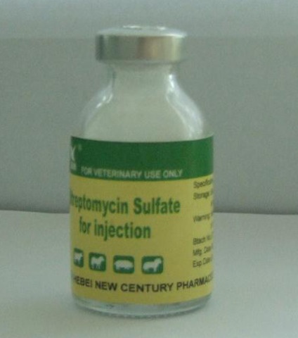 Selman A. Waksman discovers streptomycin