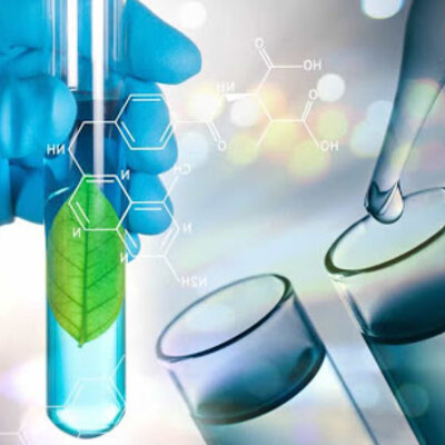 Timeline: Ingeniería Genética y Biotecnológica
