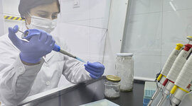 Timeline: Historia de la genética y de la biotecnologia