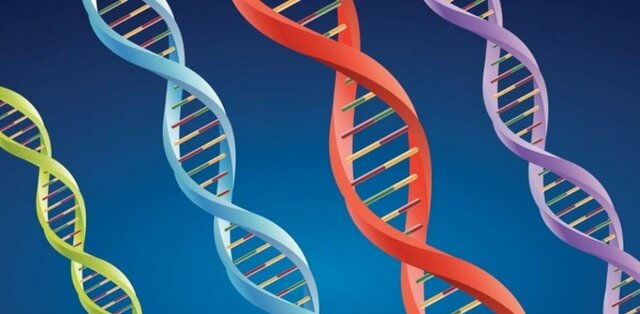 Descubrimiento del DNA por Miescher