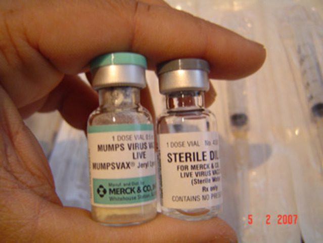 First vaccine for mumps