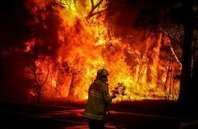 Bush Fires in Australia