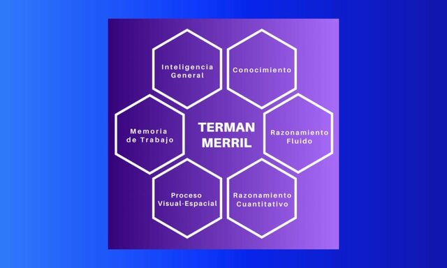 Test de Terma (Terma y Merril)