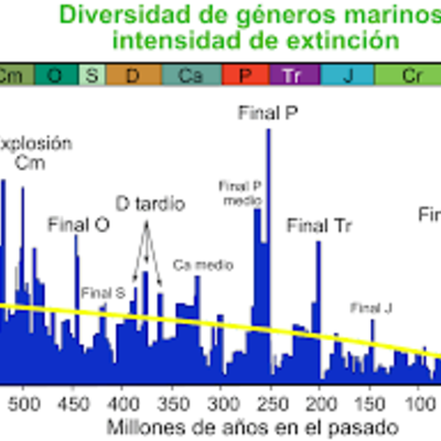Timeline: Las extinciones masivas que han devastado a la Tierra