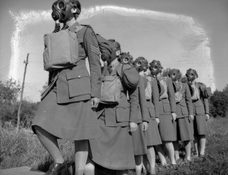The Canadian Women's Army Corps