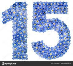 Premier groupe de 15