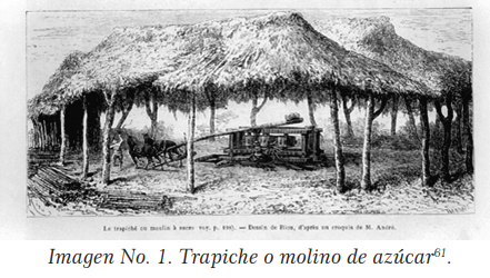 Creación de Pitalito