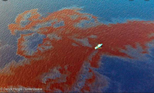 The Persian Gulf War Oil Spill