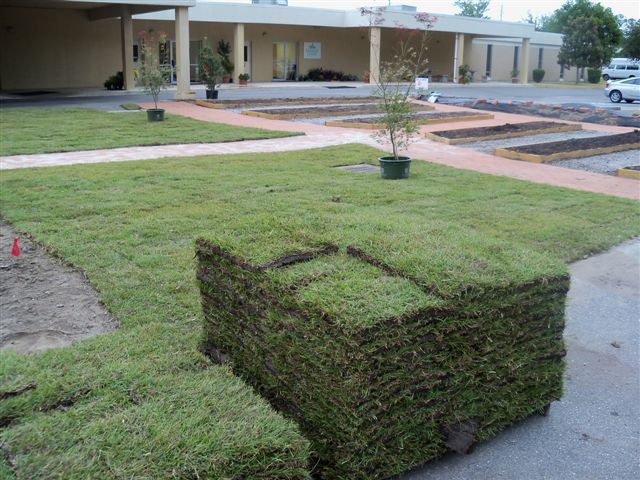 The Sod Arrives!