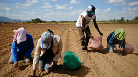 Timeline: Condiciones del campo Mexicano