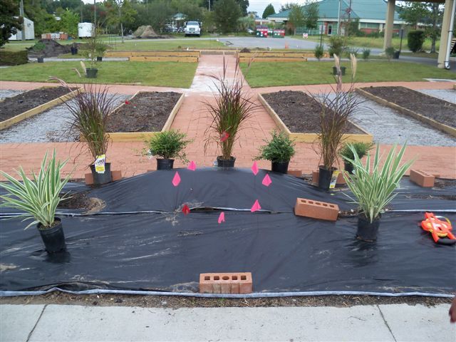 Plant Planning Begins