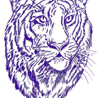 Timeline: My College Roadmap