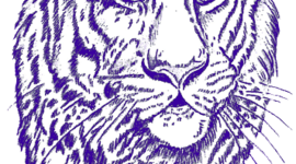 Timeline: My College Roadmap