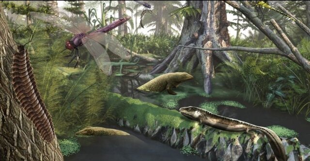 Carbonífero temprano