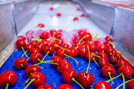 Sistema Nacional para el Programa de Apoyo al Comercio Ejidal (PACE)    Desarrollo Integral de la Familia (DIF) Sistema Alimentario Mexicano (SAM)