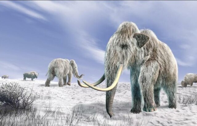 Última edad de hielo