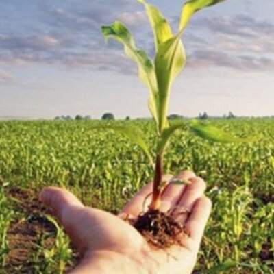 Timeline: Contexto político del desarrollo rural en Colombia