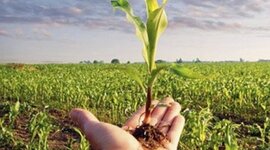 Timeline: Contexto político del desarrollo rural en Colombia