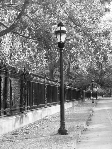 Streetlights of Baltimore