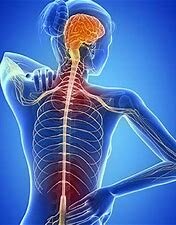 Su condición medica