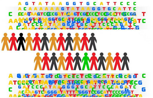 Proyecto Genoma Humano