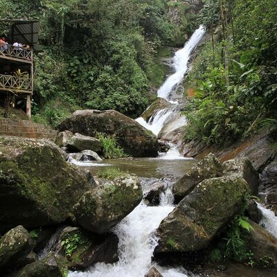 Timeline: Yomaira Suasnavas