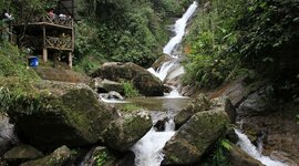 Timeline: Yomaira Suasnavas