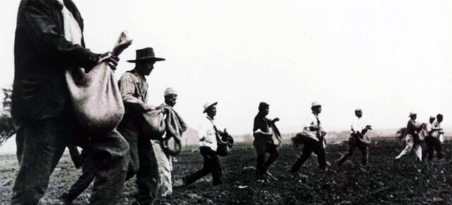 Reforma del Macetero