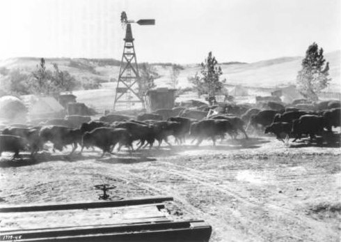 How the West Was Won and Lost—Custer